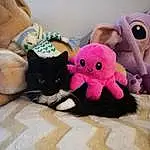 Jouets, Chat, Felidae, Carnivore, Comfort, Faon, Small To Medium-sized Cats, Moustaches, Stuffed Toy, Bois, Linens, Queue, Peluches, Bed, Magenta, Bed Sheet, Poil, Patte, Room