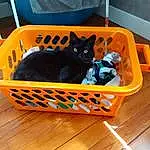 Chat, Felidae, Carnivore, Comfort, Bois, Basket, Small To Medium-sized Cats, Luggage And Bags, Storage Basket, Bag, Pet Supply, Box, Crate, Hardwood, Shipping Box, Wicker, Cat Supply, Moustaches, Baggage