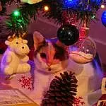Christmas Tree, Christmas Ornament, Chat, Blanc, Decoration, Light, Purple, Jouets, Bleu, Lighting, Plante, Rose, Ornament, Faon, Christmas Decoration, Carnivore, Holiday Ornament, Evergreen