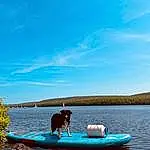 Eau, Boat, Cloud, Ciel, Water Resources, Paddle, Chien, Vehicle, Sports Equipment, Bleu, Boats And Boating--equipment And Supplies, Watercraft, Lake, Outdoor Recreation, Arbre, Carnivore, Oar, Canoe, Leisure, Recreation
